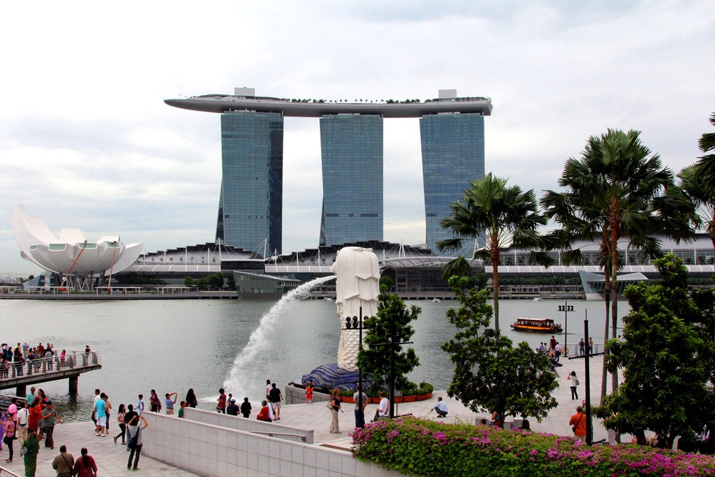 Комодо 2011 Комодо 2011