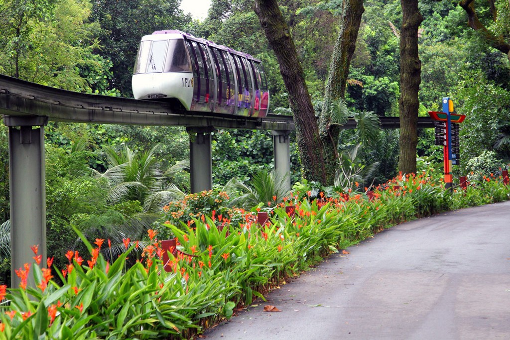 Комодо 2011 Комодо 2011