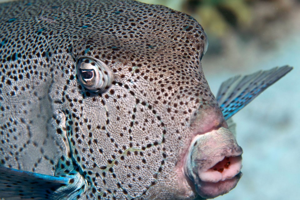 Хургада август 2011 Хургада август 2011