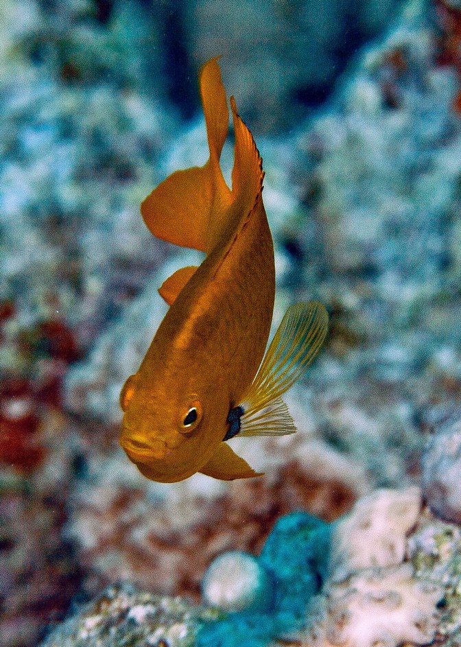 Хургада август 2011 Хургада август 2011