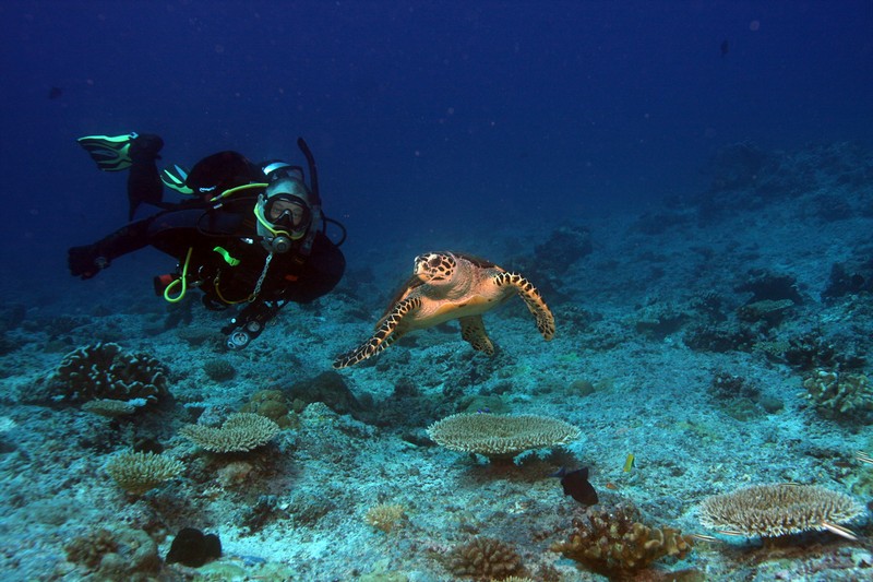 Палау_ноябрь 2010 Палау_ноябрь 2010