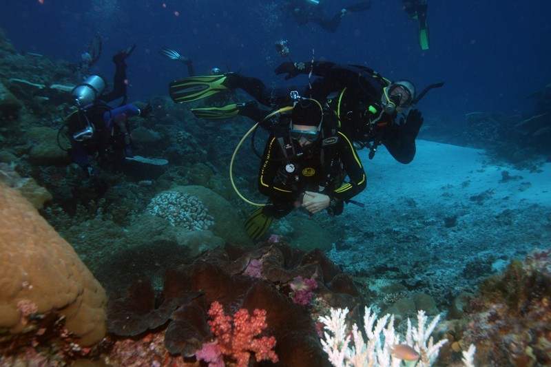 Палау_ноябрь 2010 Палау_ноябрь 2010