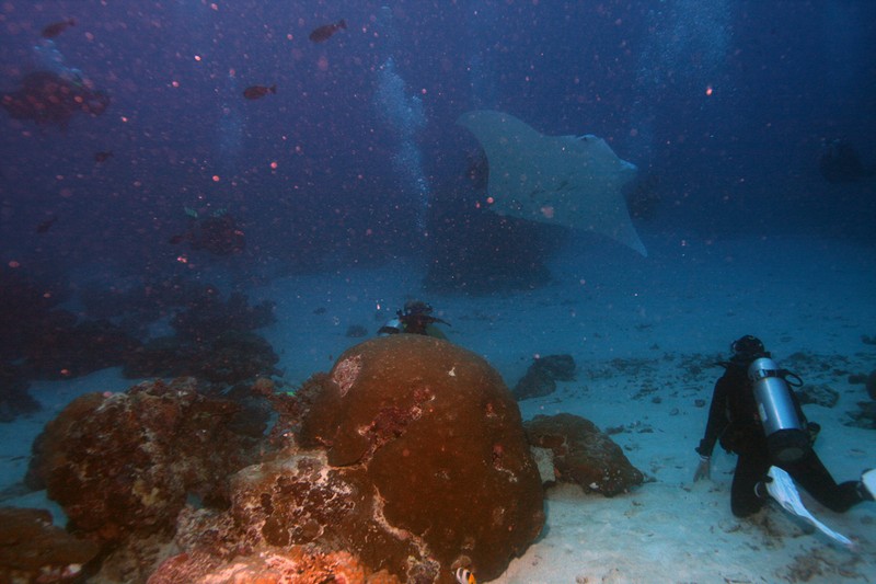 Палау_ноябрь 2010 Палау_ноябрь 2010