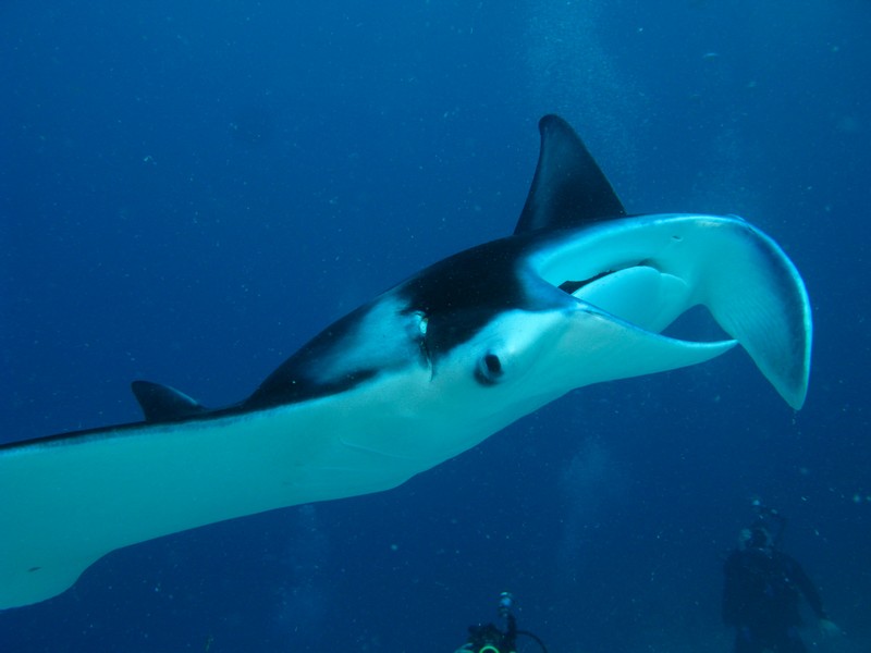 Палау_ноябрь 2010 Палау_ноябрь 2010