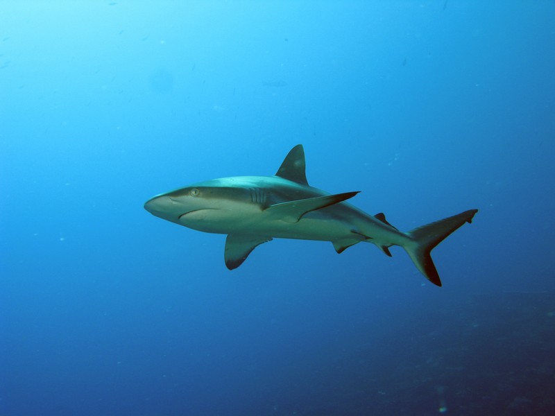 Палау_ноябрь 2010 Палау_ноябрь 2010