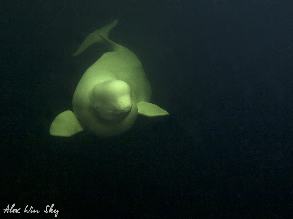 Полярный Круг Полярный Круг