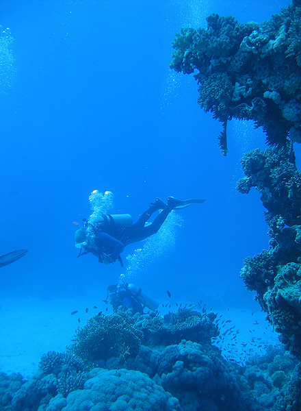 Рифы Хургады