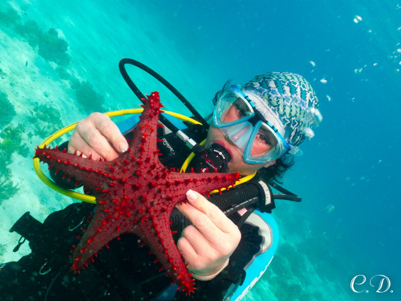 филиппины филиппины