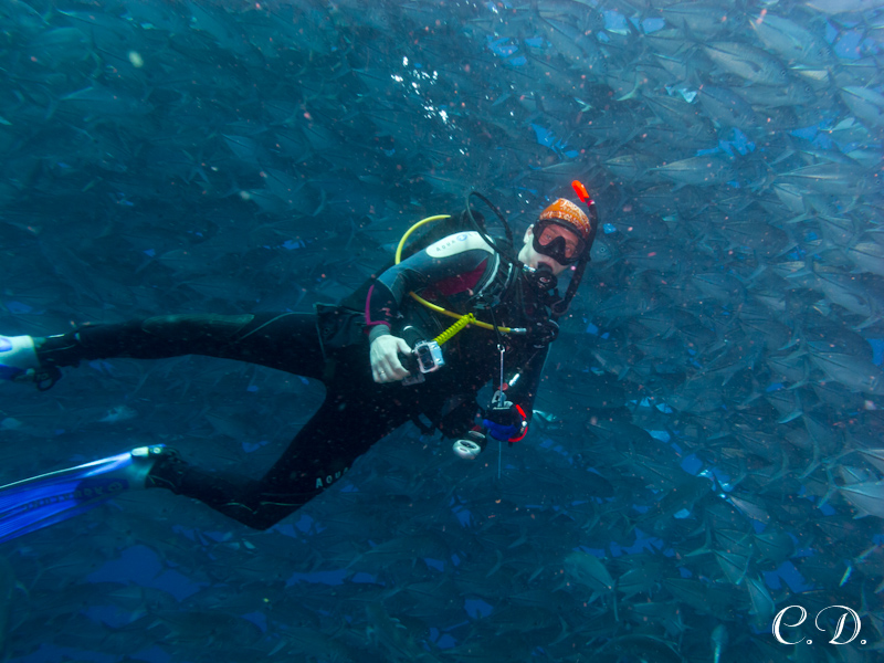 филиппины филиппины