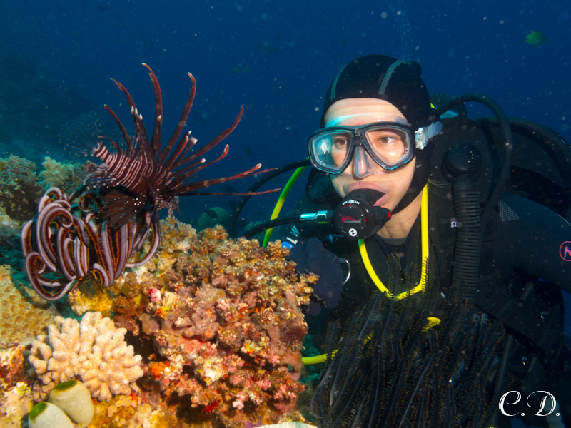 филиппины филиппины