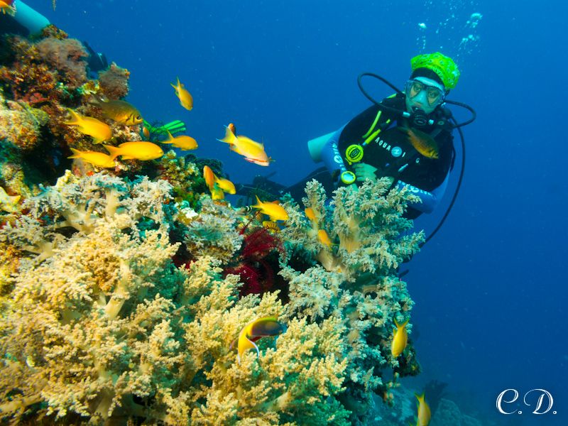 филиппины филиппины