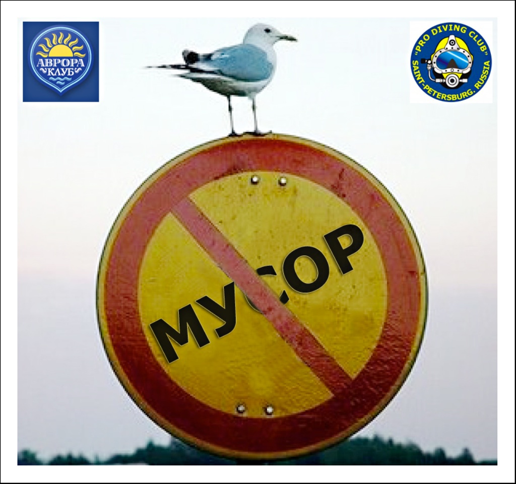 Субботник по очистке подводного полигона Субботник по очистке подводного полигона