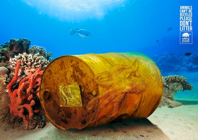 Субботник по очистке подводного полигона Субботник по очистке подводного полигона