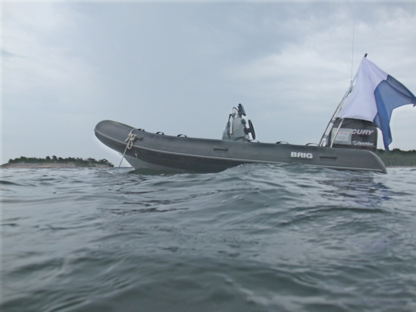 криль криль