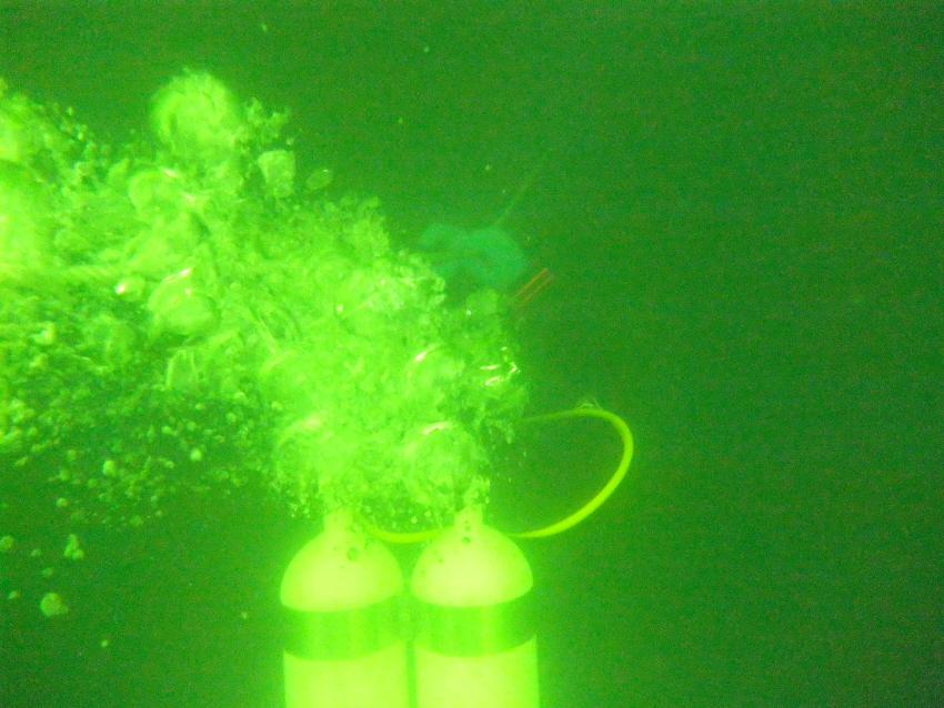 криль криль