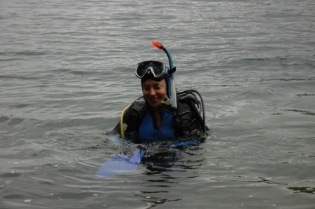 Саперное ..июль Саперное ..июль