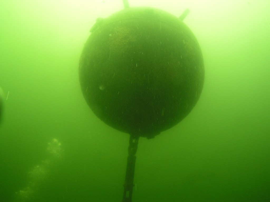 12 августа 2012 Аврора клуб 12 августа 2012 Аврора клуб