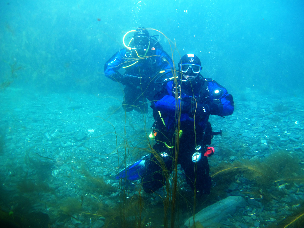 Баренцево, Рыбачий июль 2012 г. Баренцево, Рыбачий июль 2012 г.