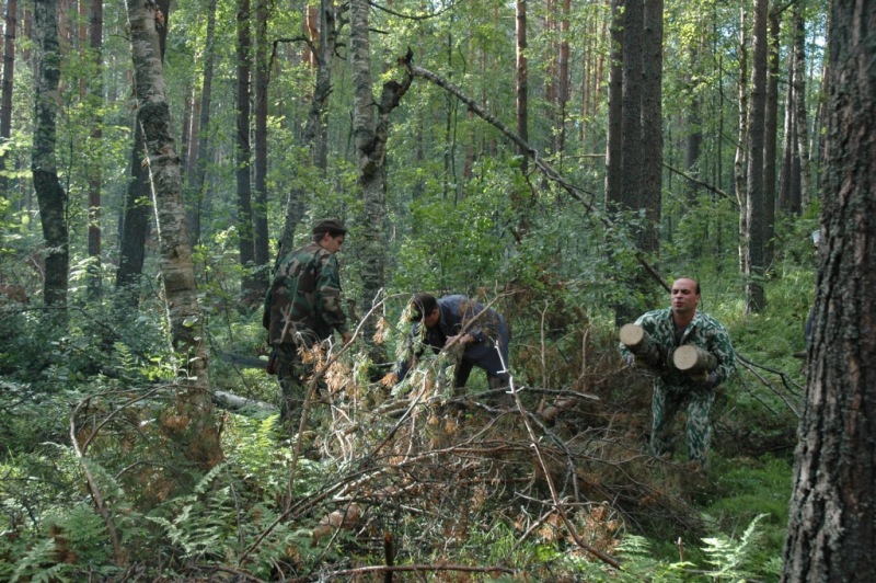 Саперное ..июль Саперное ..июль