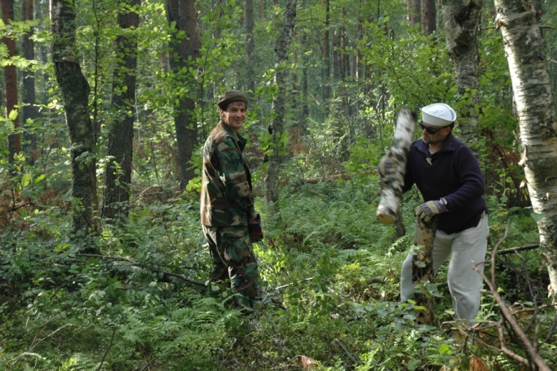 Саперное ..июль Саперное ..июль