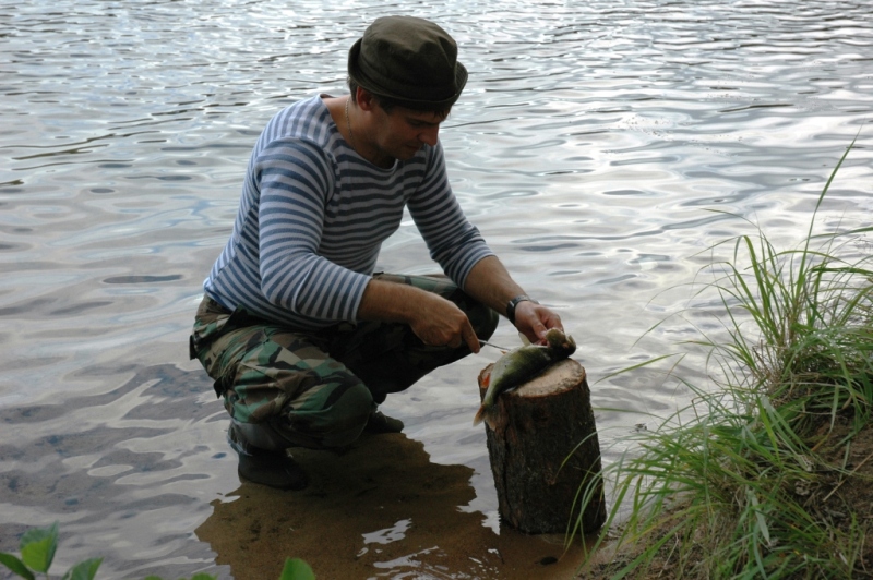 Саперное ..июль Саперное ..июль
