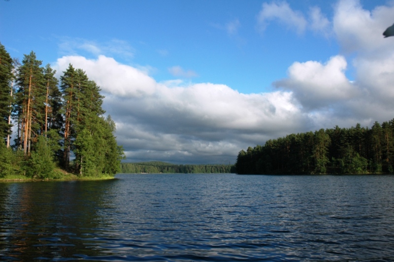 Саперное ..июль Саперное ..июль
