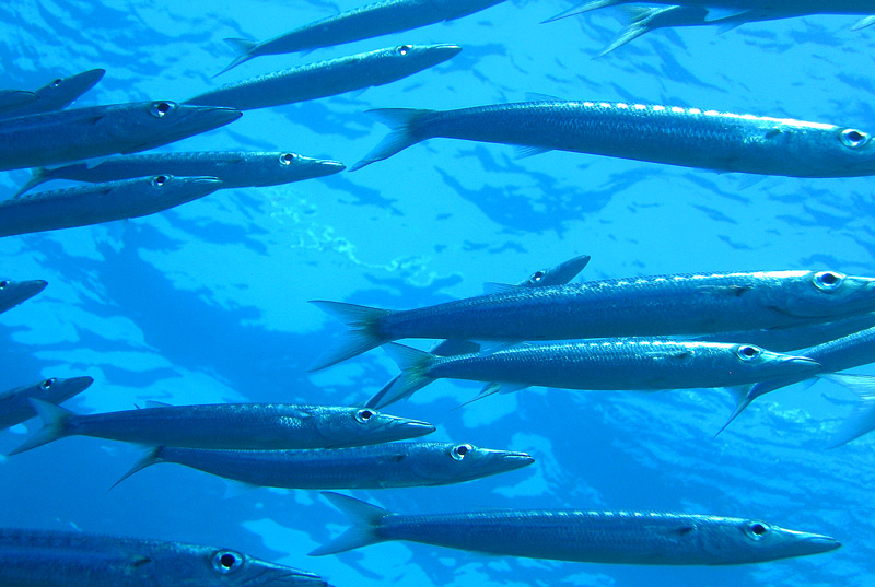 Хургада - 2007 Хургада - 2007