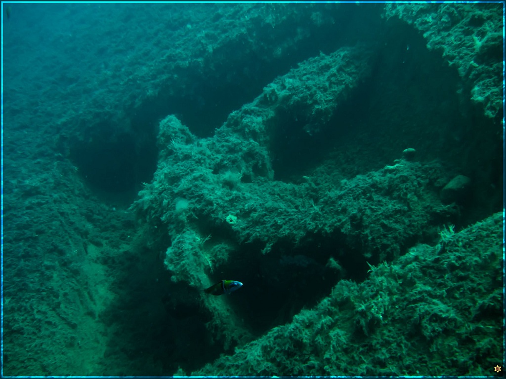 Зенобия - якорь Зенобия - якорь