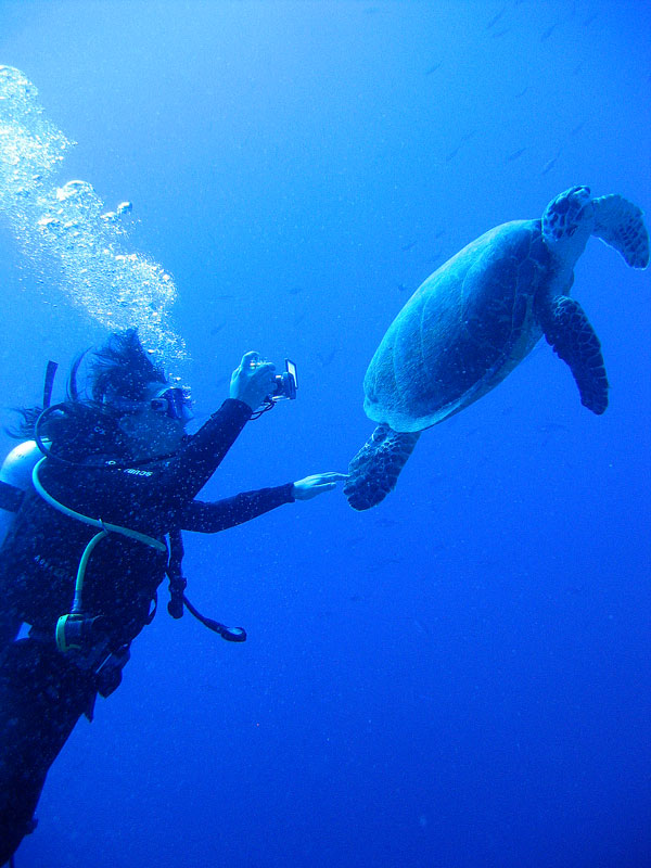 Хургада - 2007 Хургада - 2007