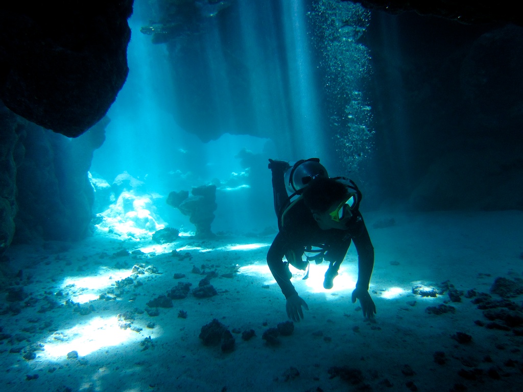 Египет - сафари, Большое Островное Путешествие Египет - сафари, Большое Островное Путешествие