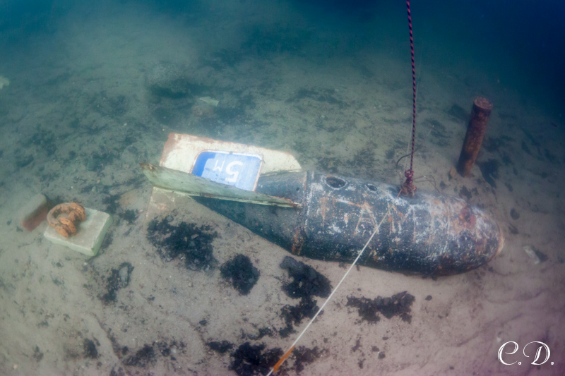 аврора-клуб аврора-клуб