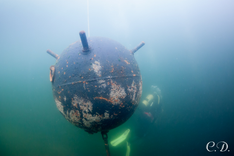 аврора-клуб аврора-клуб