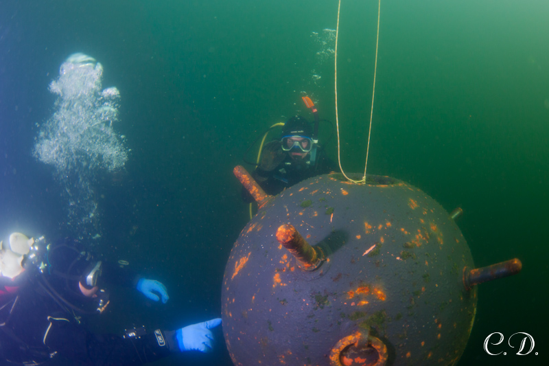 аврора-клуб аврора-клуб