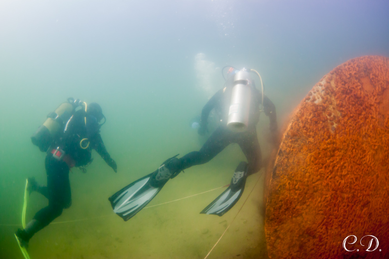 аврора-клуб аврора-клуб