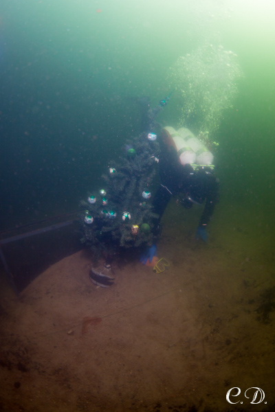 аврора-клуб аврора-клуб