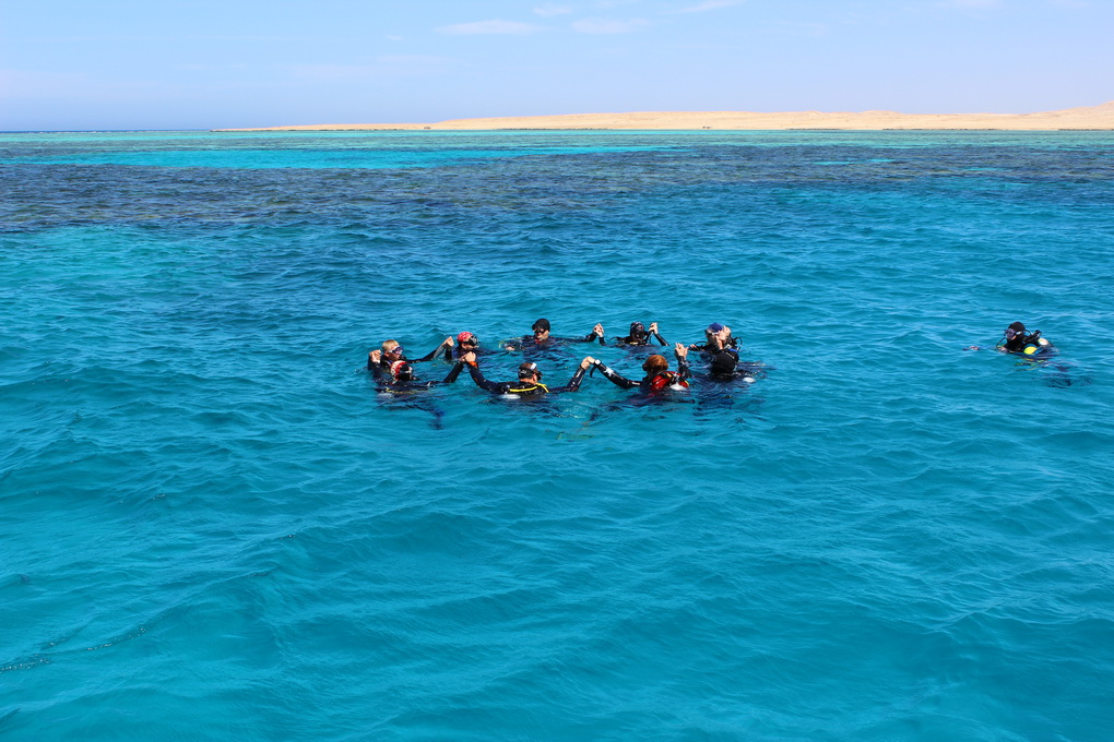 дайвфестиваль Лыжня Египта 2012 дайвфестиваль Лыжня Египта 2012