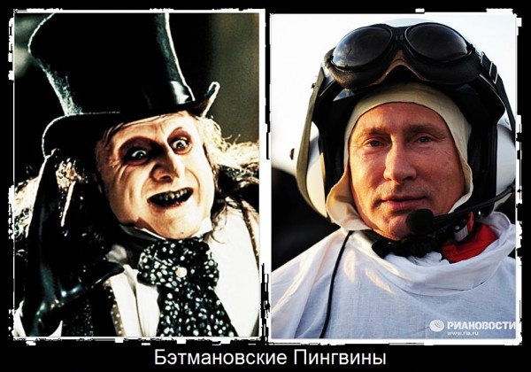 Pingvin Pingvin