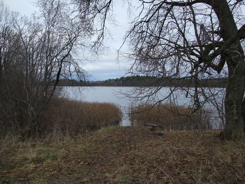 врево врево