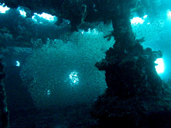 Север Север