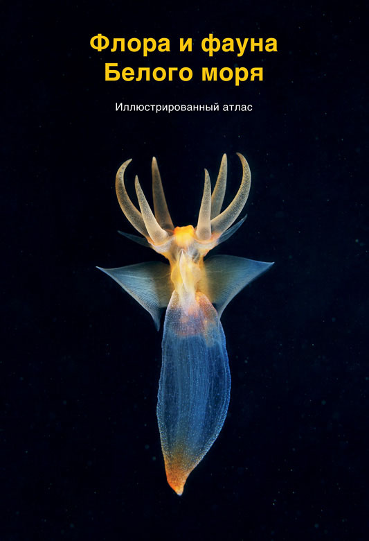 Флора и фауна Белого моря. Иллюстрированный атлас Флора и фауна Белого моря. Иллюстрированный атлас