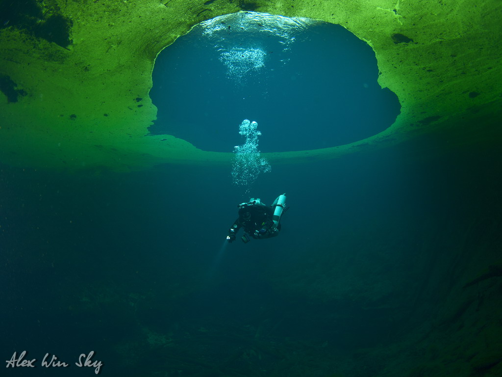 Manatee Springs Manatee Springs