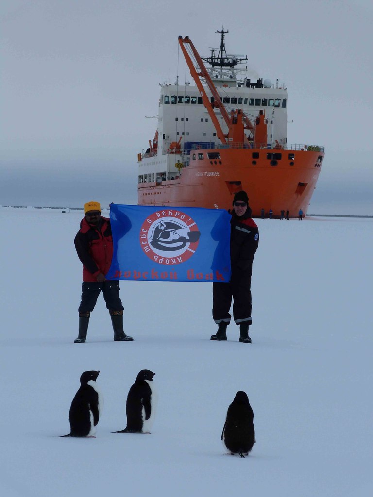Мы в Антарктиде! Мы в Антарктиде!