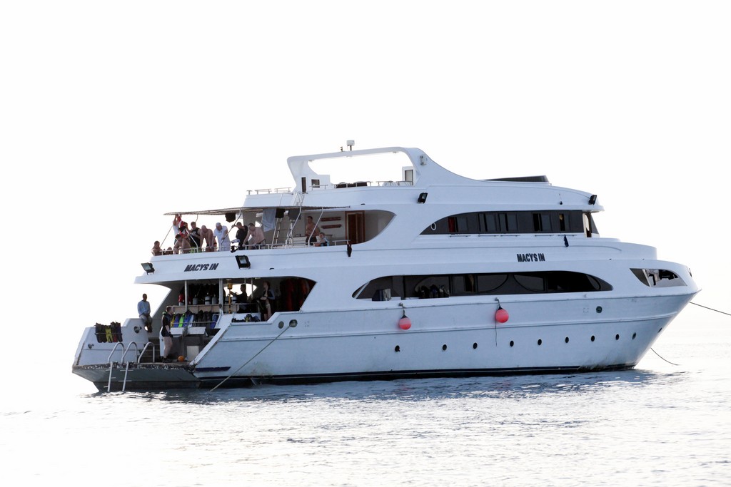 Северное сафари, март 2013 Северное сафари, март 2013