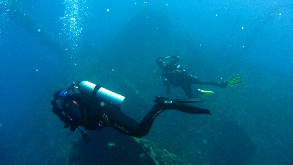 Северное сафари, март 2013 Северное сафари, март 2013