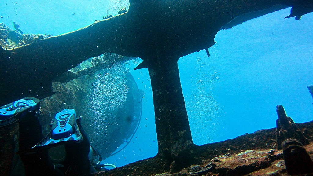 Северное сафари, март 2013 Северное сафари, март 2013