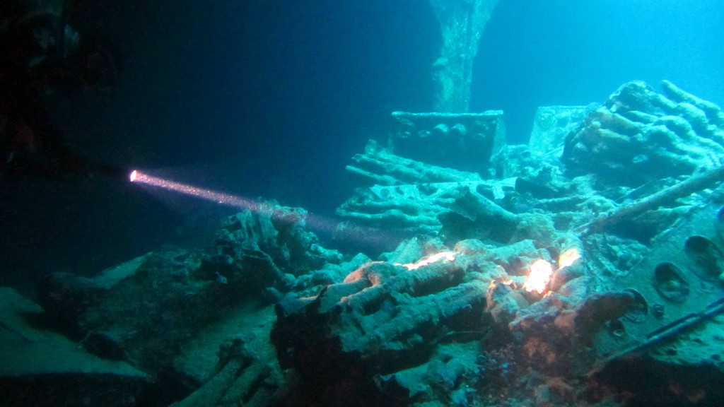 Северное сафари, март 2013 Северное сафари, март 2013