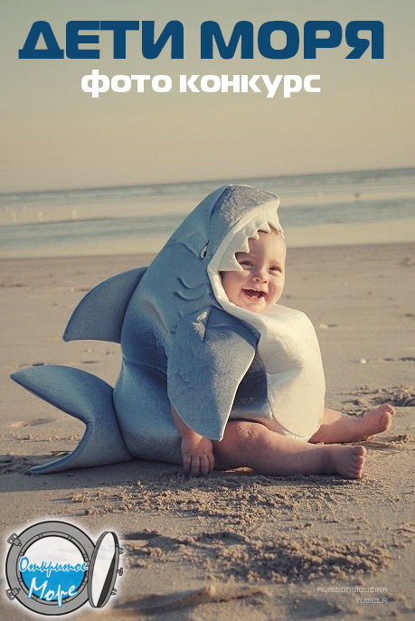 Фото конкурс - "Дети моря" Фото конкурс - "Дети моря"