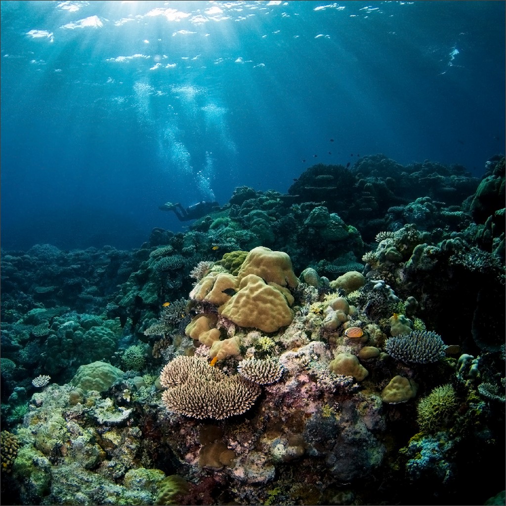 Нетрадиционный север Нетрадиционный север