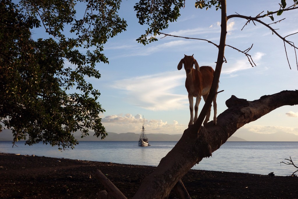 Индонезия_май 2013 Индонезия_май 2013