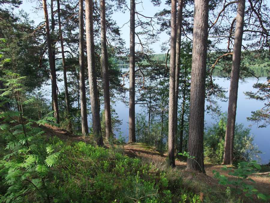 ывпаав ывпаав